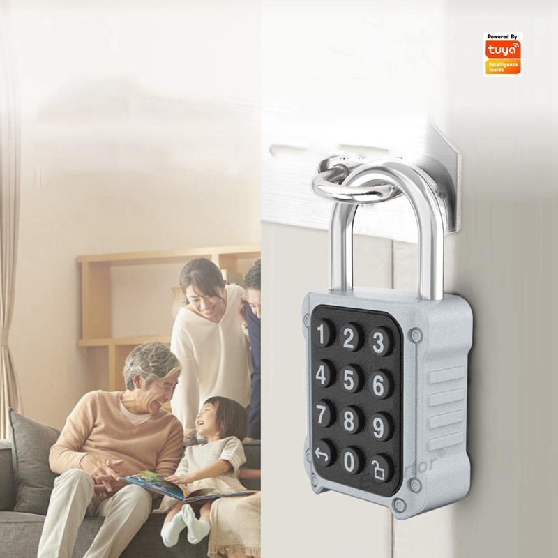EGFirtor Tuya APP Electronic S - Lockbox Key Secure avis et prix