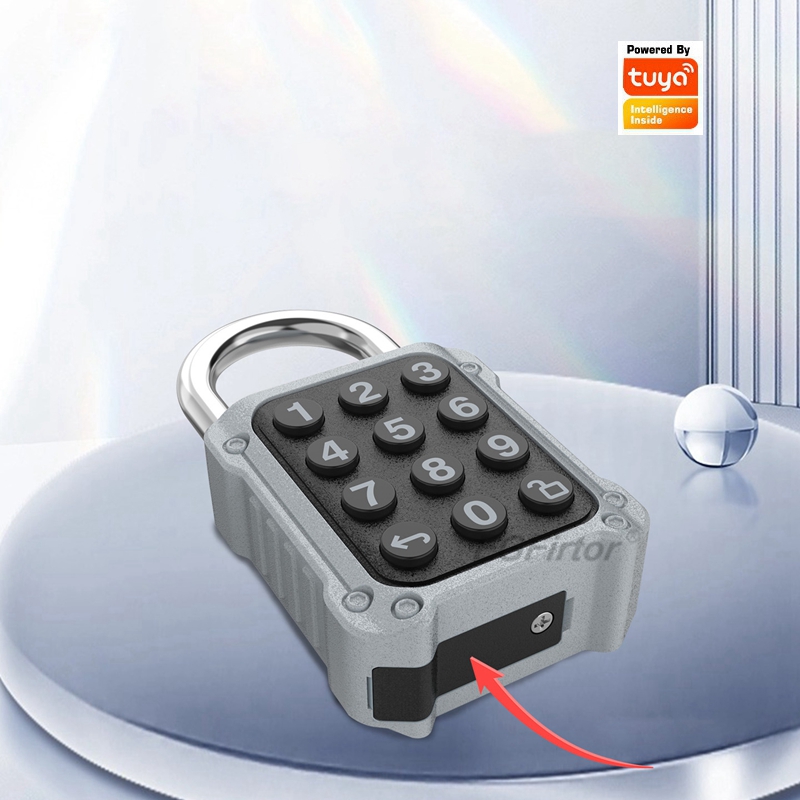 EGFirtor Tuya APP Electronic S - Lockbox Key Secure avis et prix
